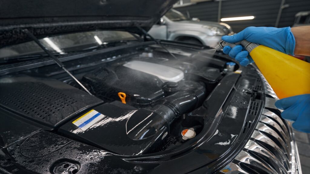 tenik-auto-motor-temizleme-03